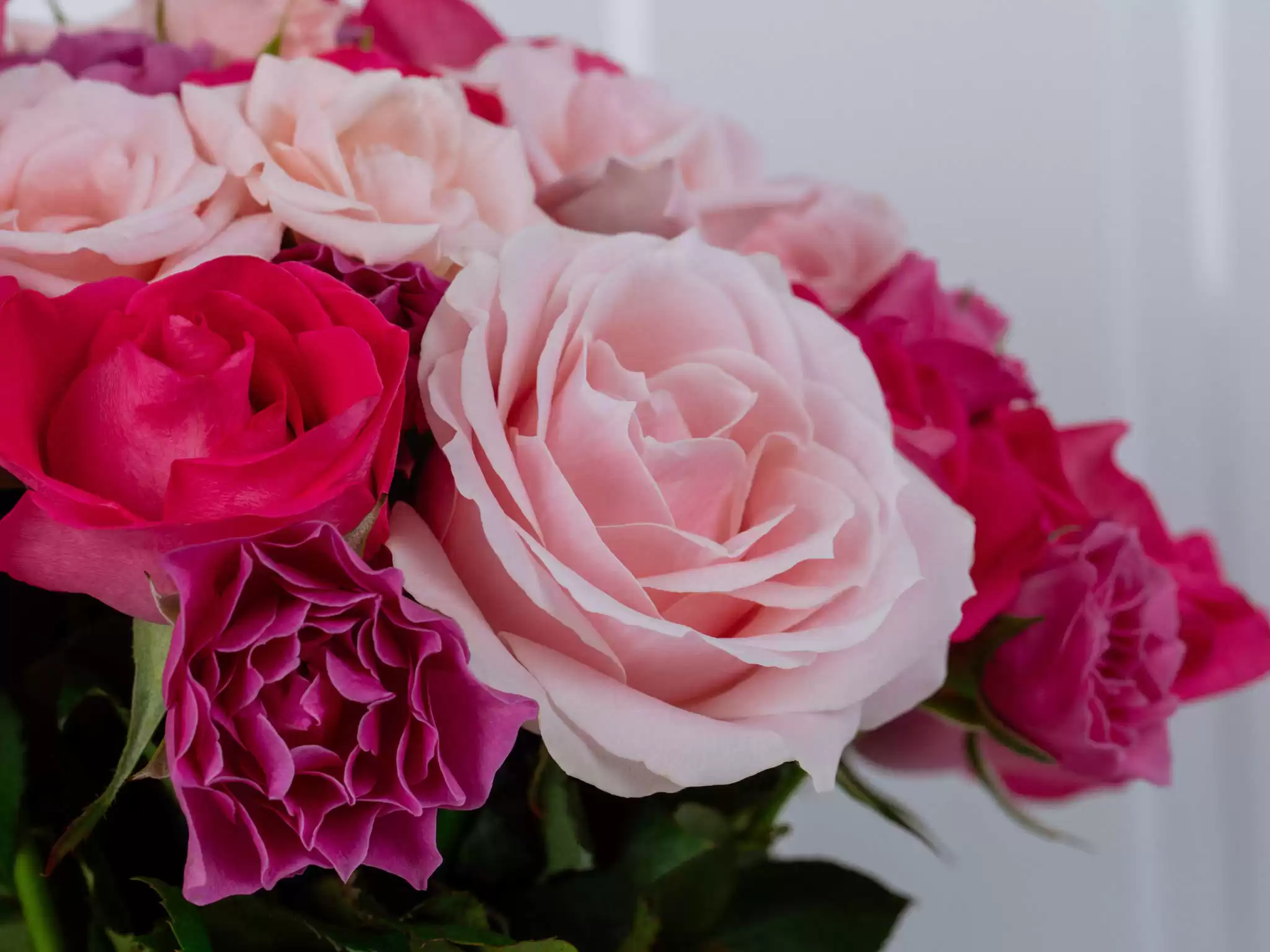 Modelo 008 - Imagem 3