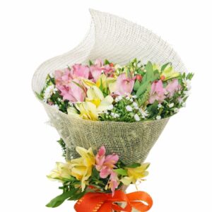 Mini Misto Silvestre