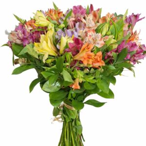 buque campo silvestre