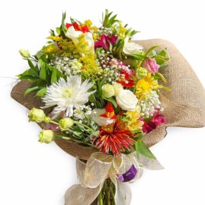 buque clean mix silvestre