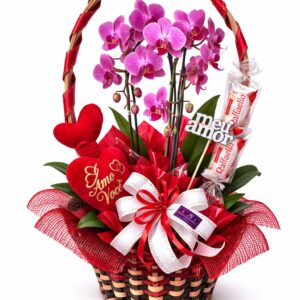 Orquídea Paixão Especial