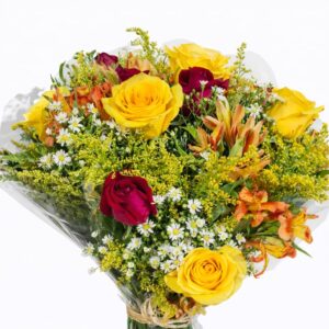 buque raio de cores 12 rosas nacionais