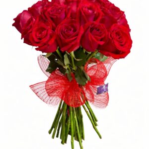 buque origem 20 rosas importadas