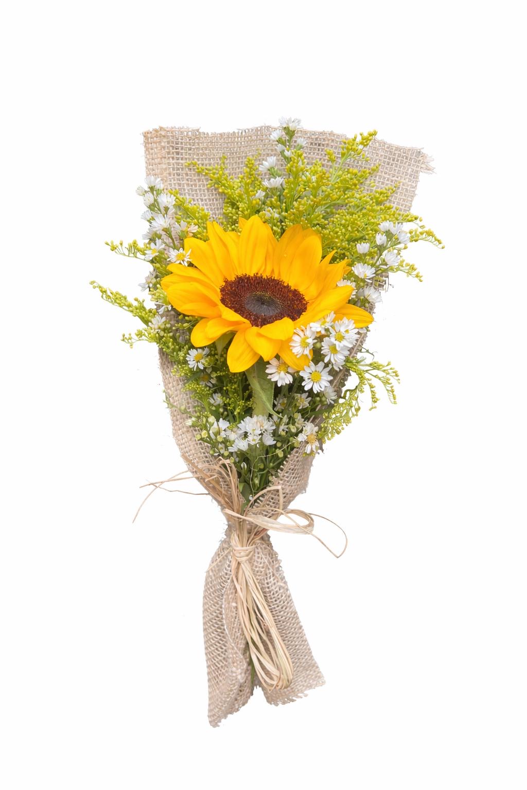 solitario Girassol Iluminado