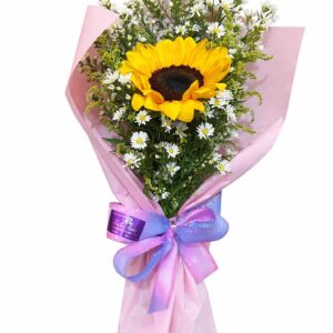 solitario girassol raio de luz