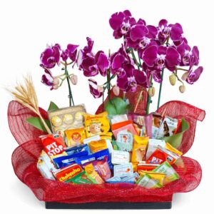 Cesta matinal Luxo Phalaenopsis