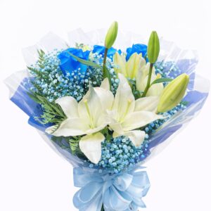 buque soft silvestre