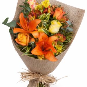 Mini buque  Camponês