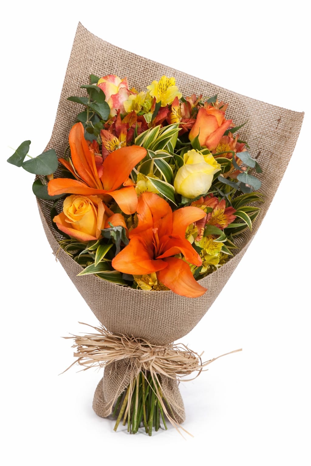 Mini buque Camponês