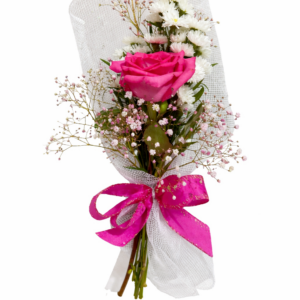 solitário delicadeza