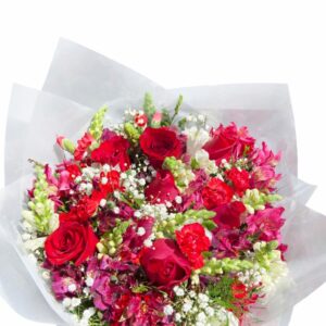 buque belo encanto 6 rosas nacionais