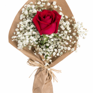 solitário encanto simples