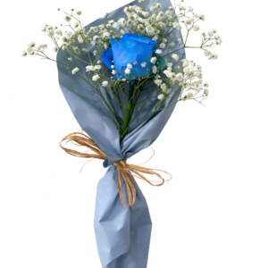 solitário essencial