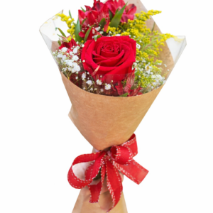 solitário serenidade