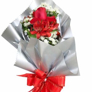 Solitário Platinado