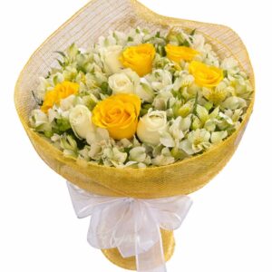 buque raio de luz 12 rosas nacionais