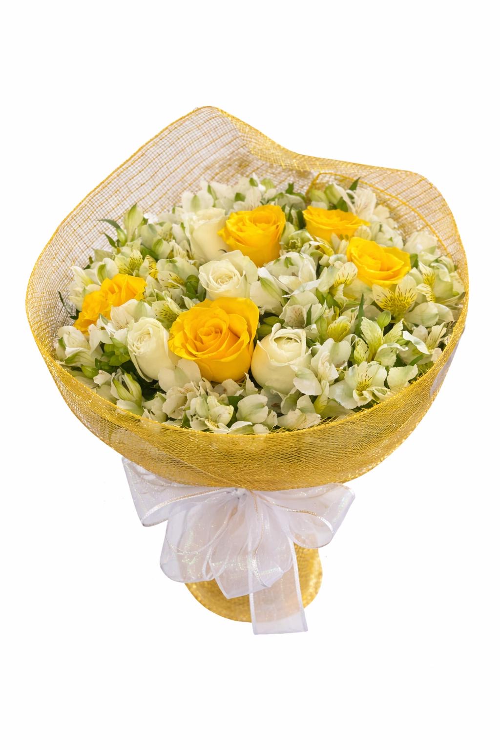 buque raio de luz 12 rosas nacionais