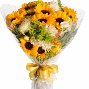 buque dourado silvestre 12 girassois