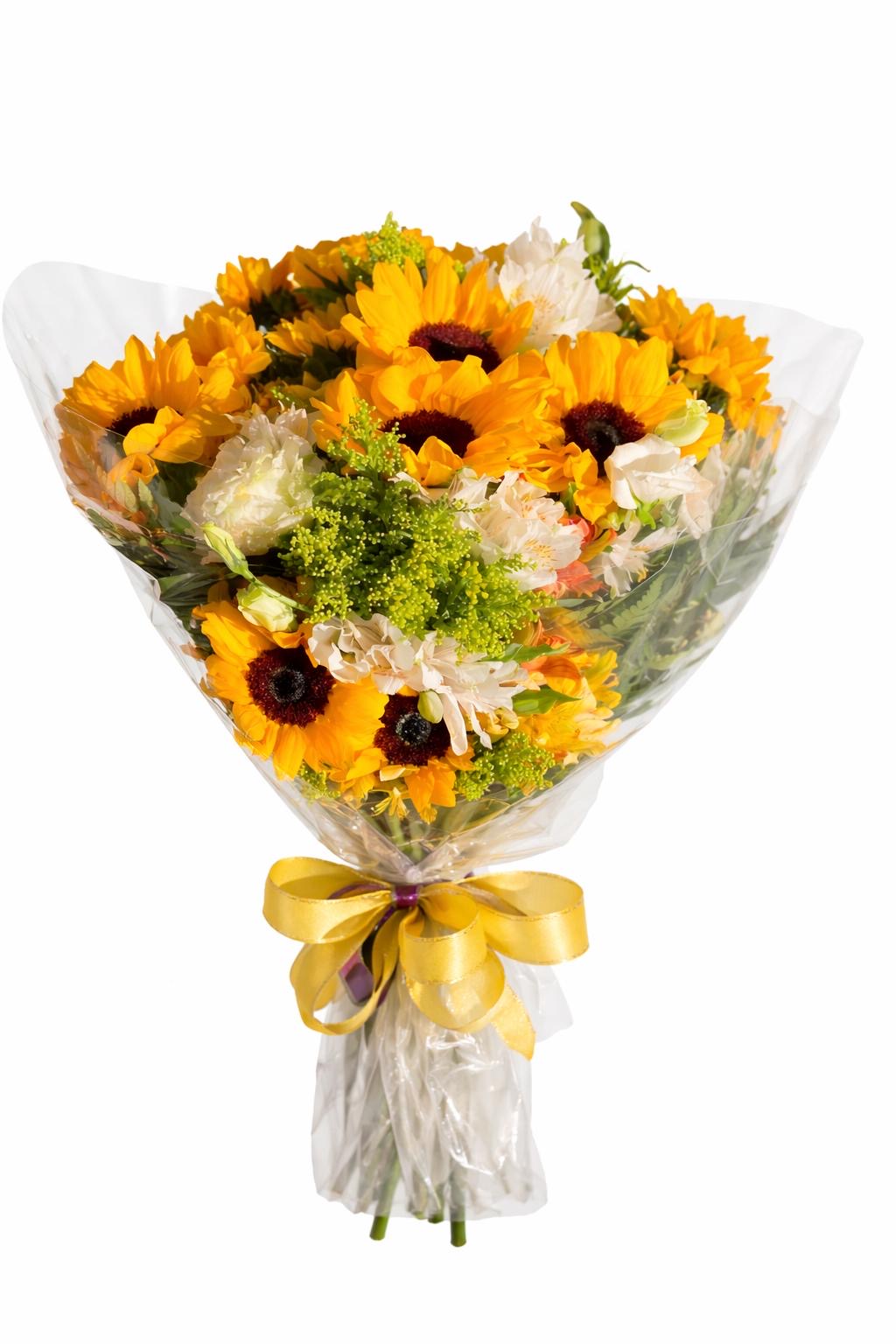 buque dourado silvestre 6 girassois