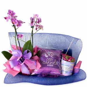 Cesta de Orquídea Carinho Especial