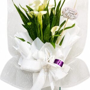 Calla Elegância de Cristal