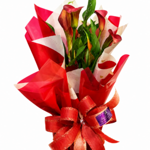 Calla Fascínio Rubi