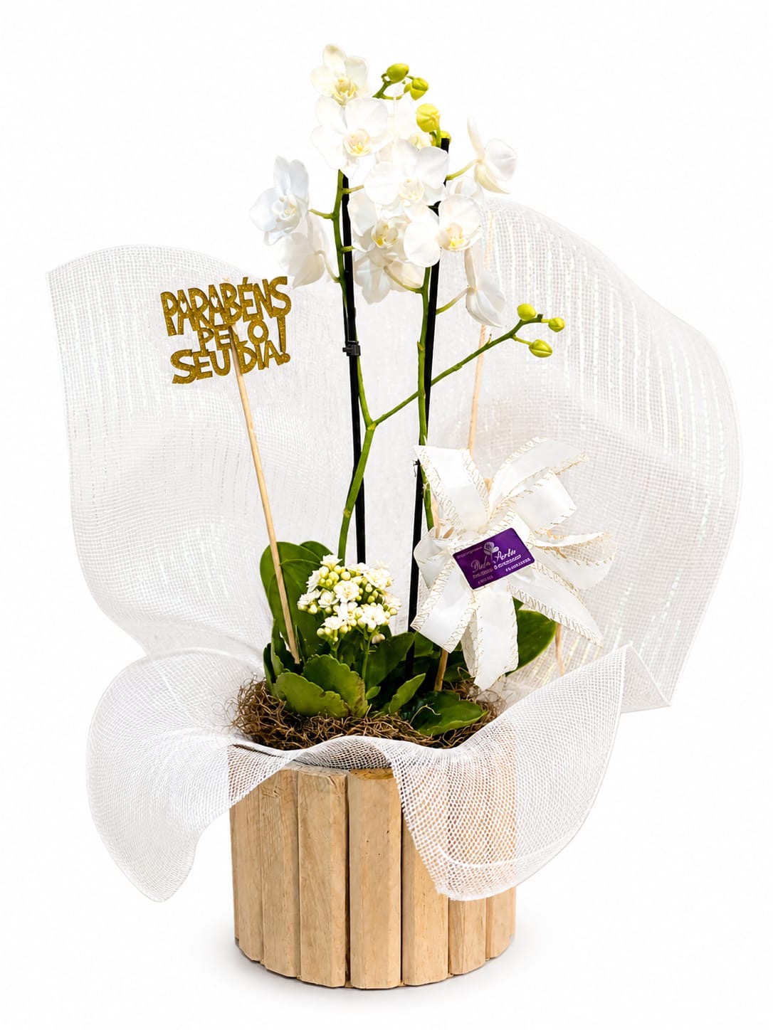 Orquídea Branca Luz Imperial