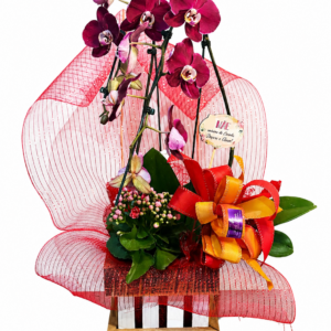 Orquídea Paixão de Mãe