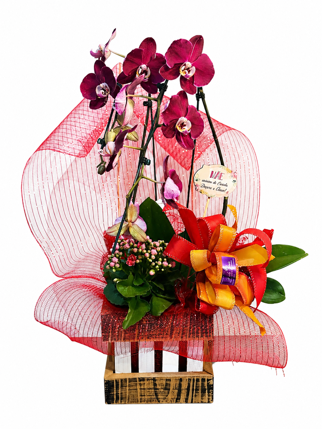 Orquídea Paixão de Mãe