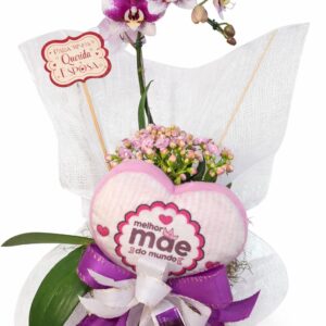 Orquídea Carinho Especial