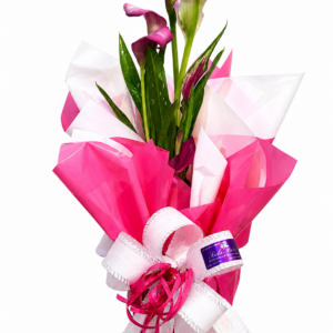 Calla Elegância Pink