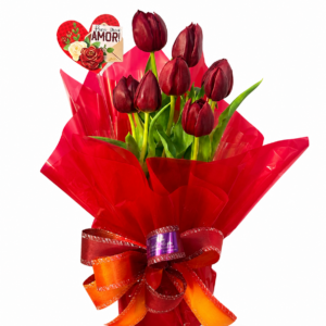 Tulipas Vermelhas Premium