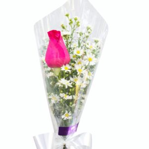 Solitário Toque de Amor
