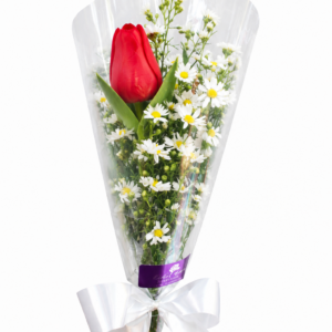 Solitário tulipa vermelha com complemento