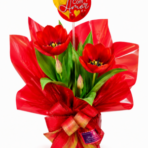 Tulipa encantada vermelha