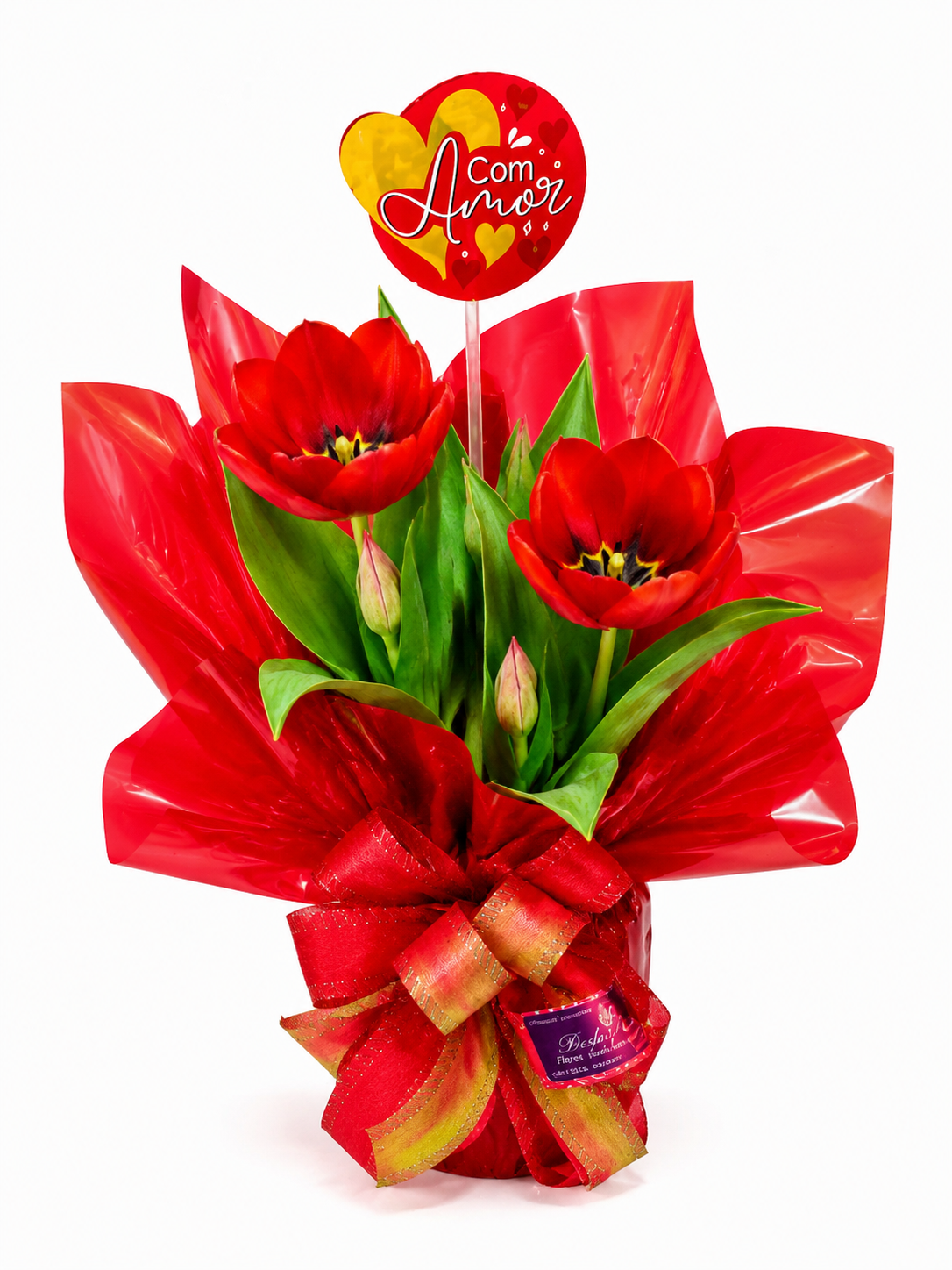 Tulipa encantada vermelha