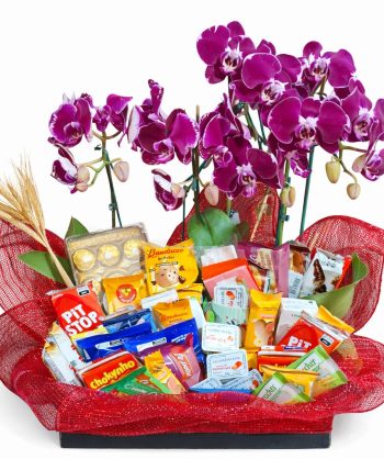 55180366-a47f-46c4-b7d5-9b8ecaa9e979